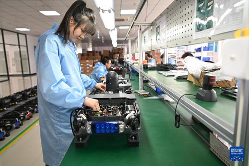 哈爾濱新區(qū) 技術(shù)服務(wù)涌動創(chuàng)新熱潮，引領(lǐng)產(chǎn)業(yè)振興