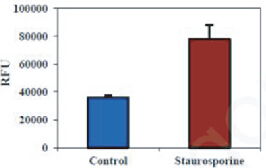 BBI細胞組學(xué)產(chǎn)品秋冬促銷火熱開啟，放開價勢無需再等