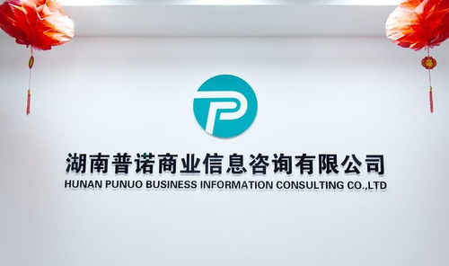湖南普諾商業(yè)信息咨詢 賦能企業(yè)決策的專業(yè)信息咨詢服務(wù)